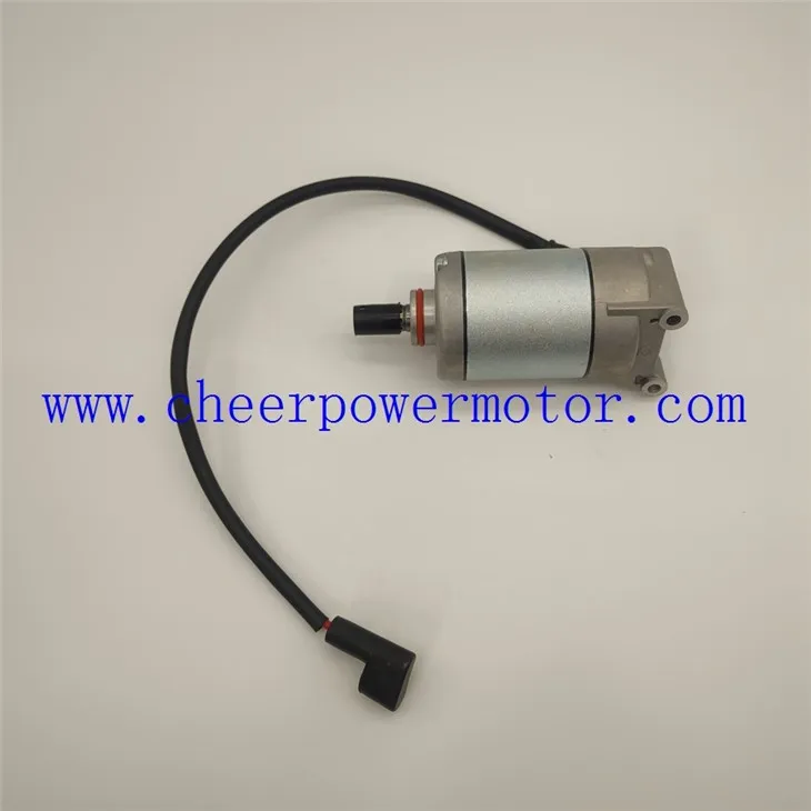 Motorcykelstartmotor (för luftkylmotor)För Z1 BROTHER