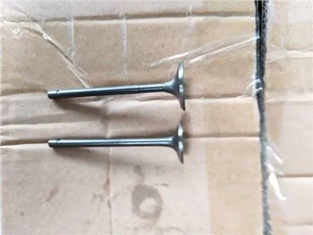 Motorcykelventilinloppsavgasset för TVS KING DELUXE 200