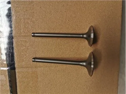 SHINERAY XY125-8X Avgasmotorventil för motorcykel