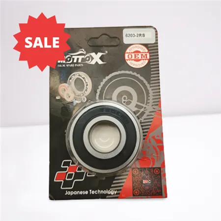 6203RS motorcykellager