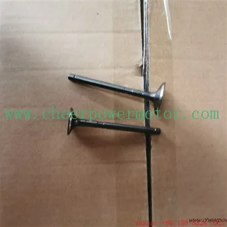 BAJAJ RE205 Trehjuling inloppsmotorventil